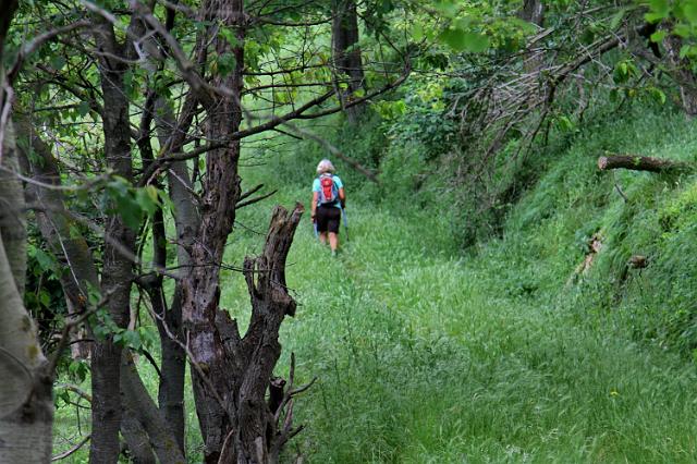 1248 Wandeling vanaf camping.jpg